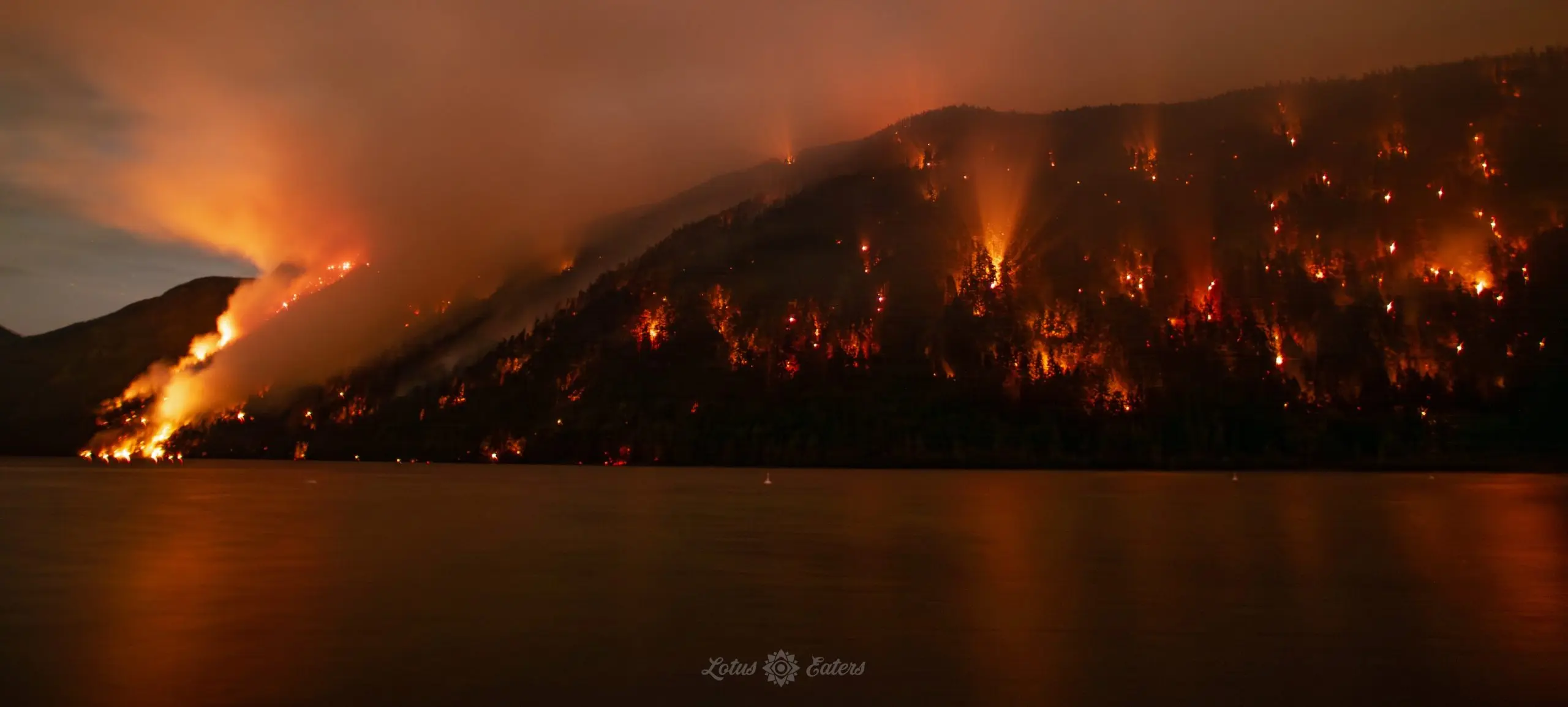 Latest Updates on the Wesley Ridge Fire image 1