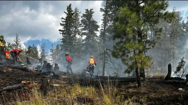 Incendie à West Kelowna : une crise en cours
