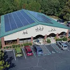 The Rise of Whole Foods: A Natural Choice for Health-Conscious Consumers
