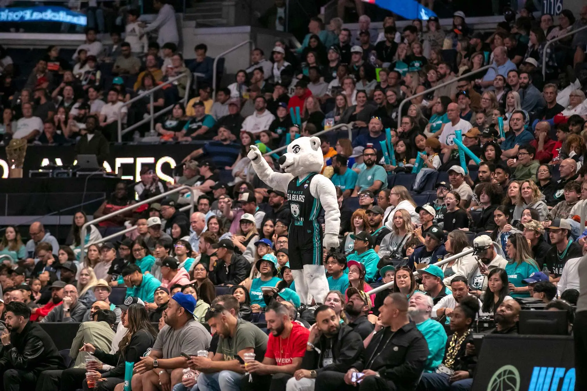 Introducing the Winnipeg Sea Bears: A New Chapter in Sports