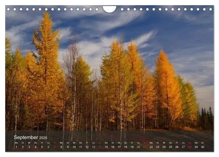Aperçu de l’automne 2025 : Prévisions et Événements au Canada
