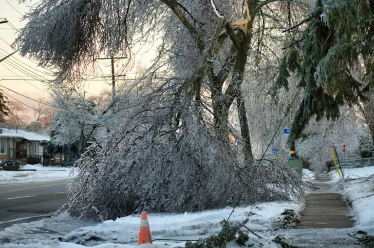 Latest Barrie Weather Updates and What to Expect image 1