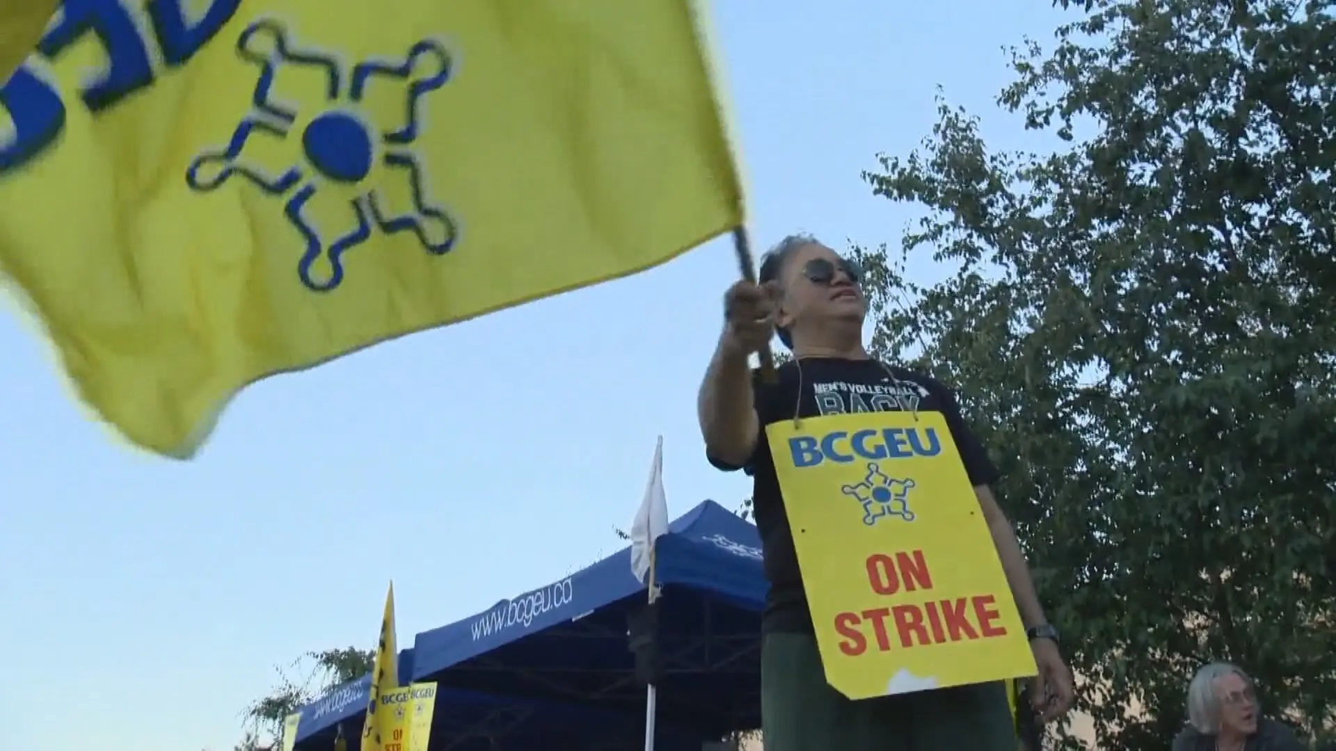 Understanding the BCGEU Strike of 2025 image 1