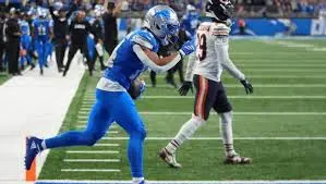 The Showdown Between Bears and Lions image 1