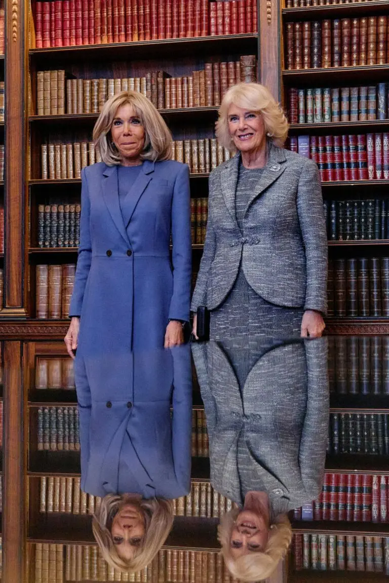 The Role of Brigitte Macron in French Politics image 1