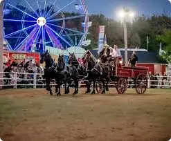 Carp Fair 2023: Celebrating Community Spirit and Tradition