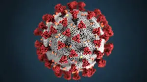 Current COVID News: Updates on Cases and Vaccinations