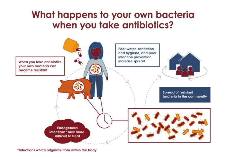 Understanding the Threat of Drug Resistant Bacteria image 1