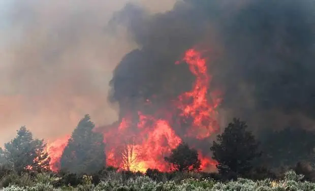 Current Situation of Forest Fires in Canada image 1