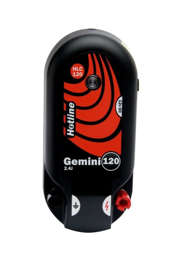 The Rise of Gemini in the Cryptocurrency Market image 1