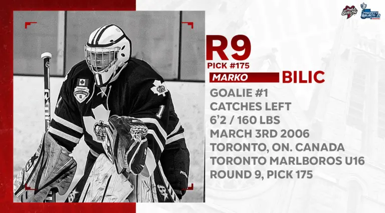 A Look at the Guelph Storm’s Season Performance