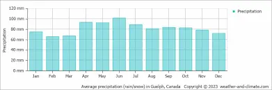 Current Weather Conditions in Guelph: What You Need to Know