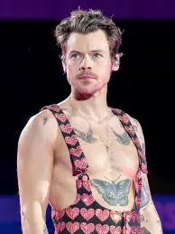 The Rise and Impact of Harry Styles in Modern Music image 1