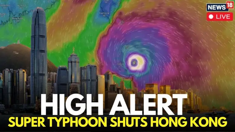 Impact of the Recent Typhoon in Hong Kong image 1