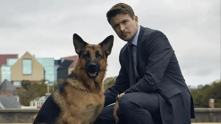 Exciting Developments in Hudson and Rex Season 8 image 1