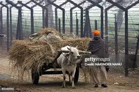 India Pakistan Relations: A Complex Historical Landscape