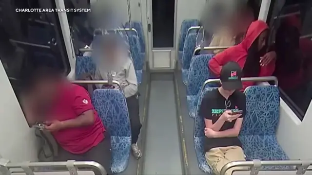 Tragic Incident: Iryna Stabbed on Train Raises Public Safety Concerns