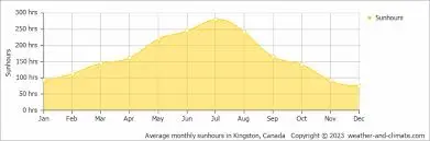Current Kingston Weather: What You Need to Know
