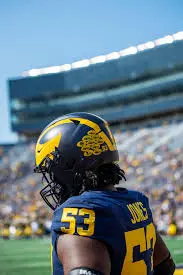 Michigan Football: A Season to Remember