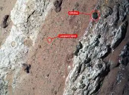 NASA Announces Exciting Findings on Potential Life on Mars image 1