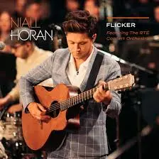 Niall Horan: From One Direction Star to Solo Sensation