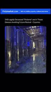Exploring Polymarket: The Future of Prediction Markets