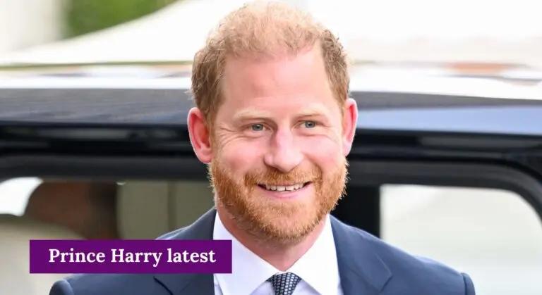 Prince Harry’s Influence and Activities in the UK