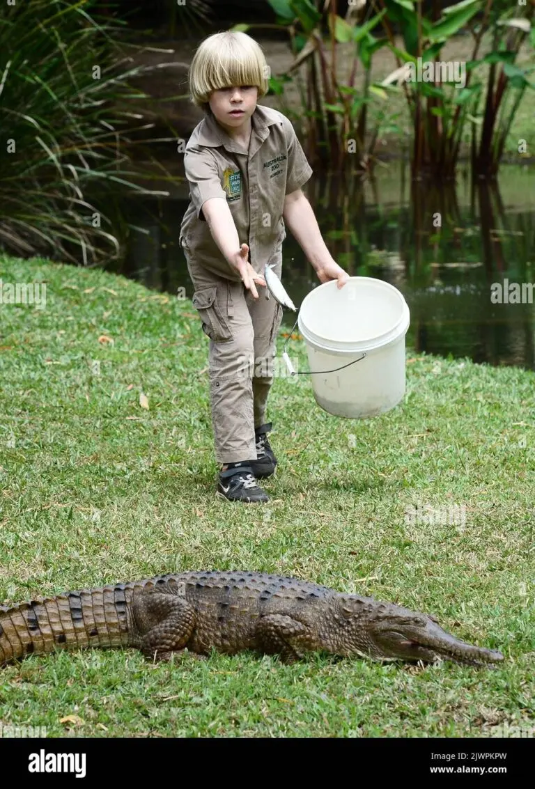 Robert Irwin: A Legacy of Conservation and Dedication