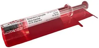 Understanding the Importance of the RSV Vaccine image 1