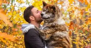 Sam Breton et Son Chien: Une Duo Comique Inoubliable