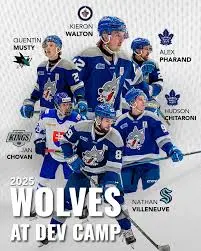 Current Status and Future Outlook for the Sudbury Wolves image 1