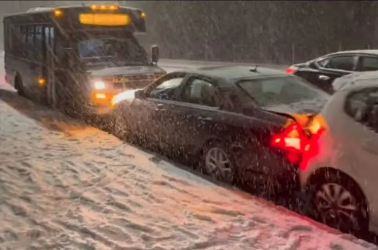 Surrey Weather: Current Conditions and Forecasts