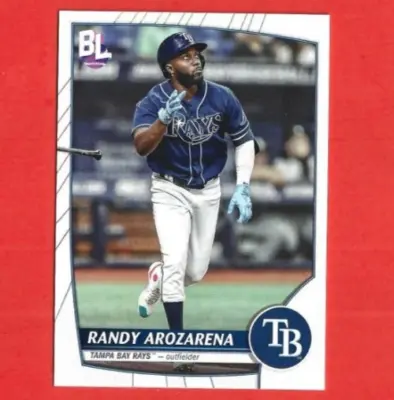 The Tampa Bay Rays: Achievements and Future Prospects