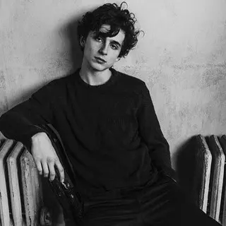 Timothée Chalamet: The Rise of a Young Hollywood Icon