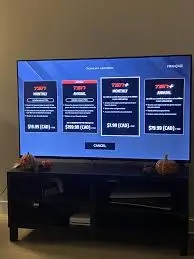Understanding TSN Subscription: Benefits and Features