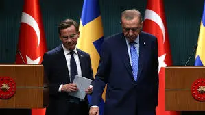 The Evolving Diplomatic Relations Between Turkey and Sweden image 1