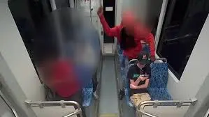 Tragic Incident: Ukrainian Girl Stabbed on Train Sparks Outrage