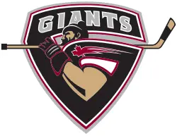 Understanding the Vancouver Giants in the WHL image 1