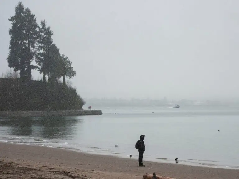 Recent Trends in Vancouver Weather: What to Expect
