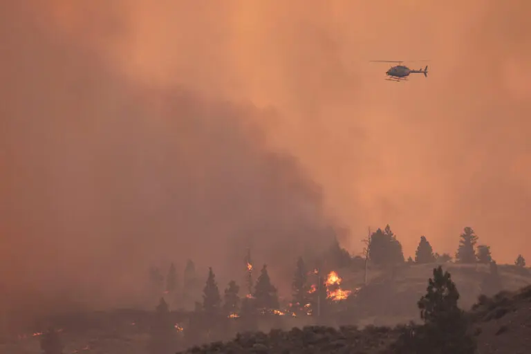 The Current State of Wildfires in Alberta: What You Need to Know