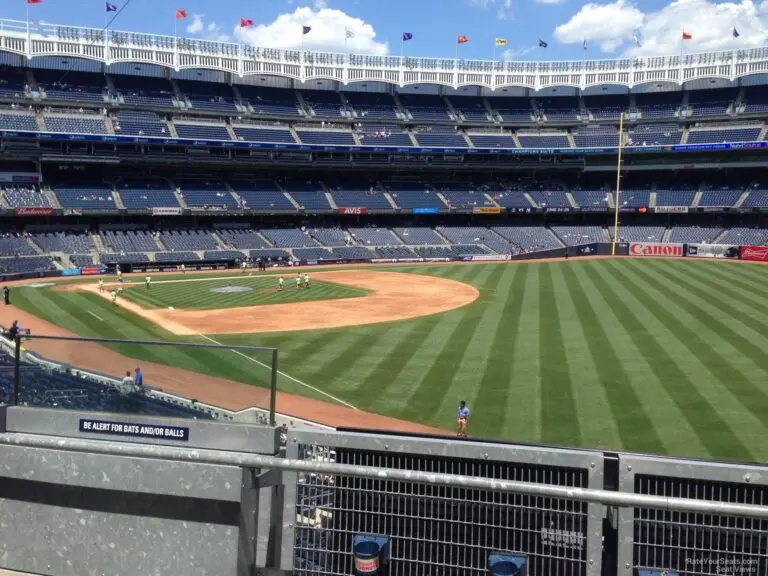 Current Insights on the New York Yankees image 1