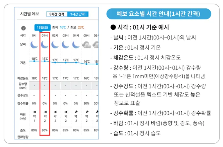 내일 날씨: 기상 예보와 그 중요성