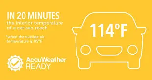 Understanding AccuWeather and Its Impact on Daily Life image 1