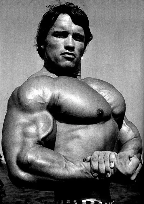 The Life and Legacy of Arnold Schwarzenegger image 1