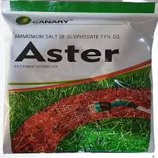 Aster Trade: Revolutionizing the Investment Landscape