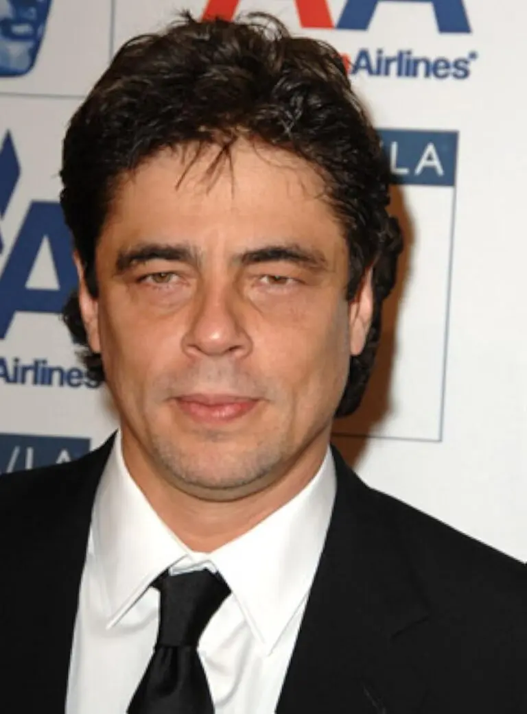The Life and Career of Benicio del Toro image 1