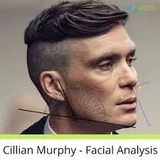 The Rise and Impact of Cillian Murphy in Film image 1