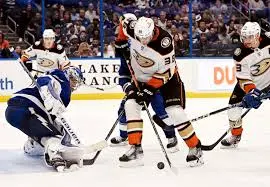 Ducks vs Lightning: An Unusual Encounter