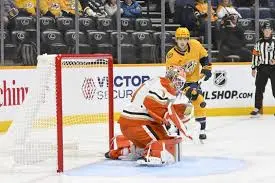Ducks vs Predators: A Survival Challenge