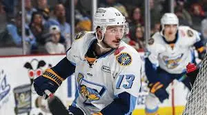 Latest Insights into the ECHL: A Growing Hockey League